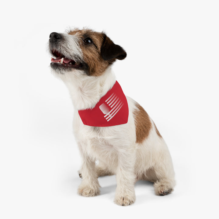 Paddle Flag Pet Bandana with Collar - Great Pickleball Stuff