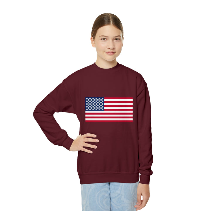 Pickleball Stars Flag Youth Crewneck Sweatshirt - Great Pickleball Stuff