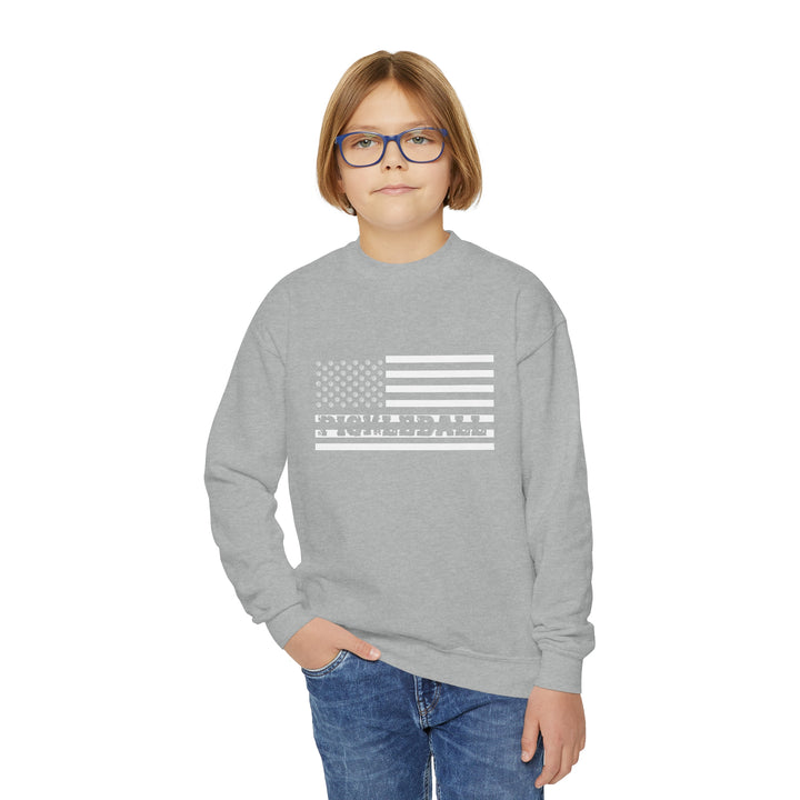 Pickleball Flag Transparent Youth Crewneck Sweatshirt - Great Pickleball Stuff