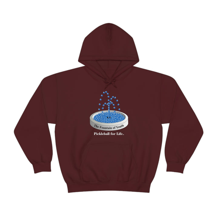 The Pickleball Fountain-Blue Unisex Hoodie - Great Pickleball Stuff