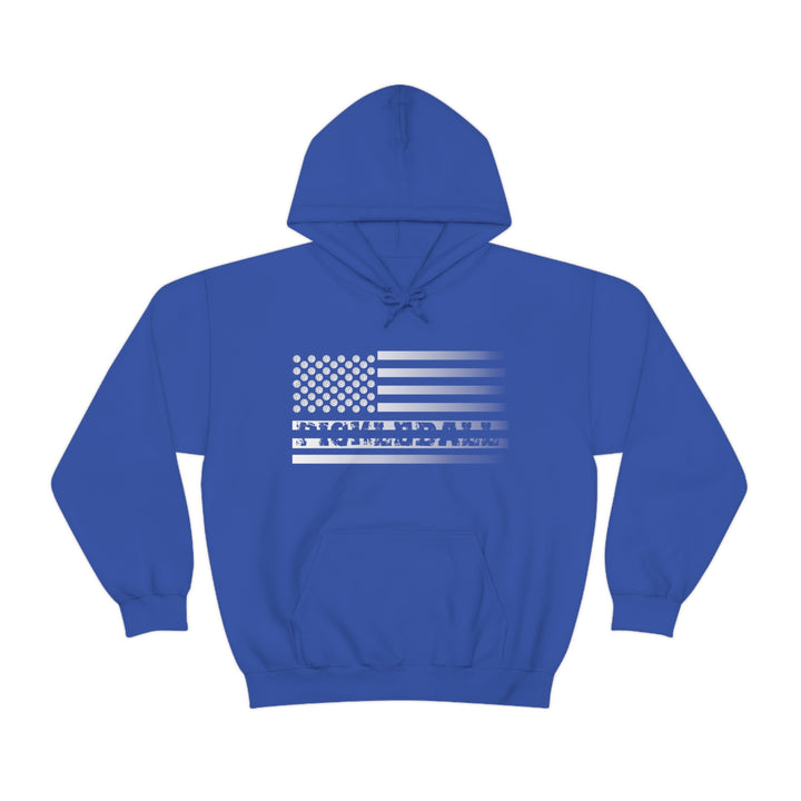 Pickleball Flag Transparent (Faded) Unisex Hoodie - Great Pickleball Stuff