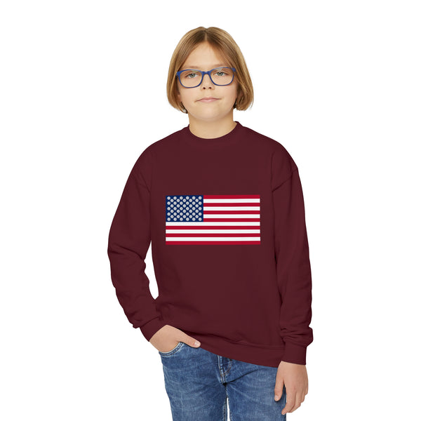 Pickleball Stars Flag Youth Crewneck Sweatshirt - Great Pickleball Stuff