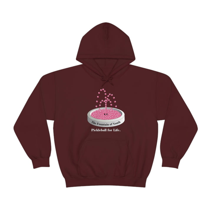 The Pickleball Fountain-Pink Unisex Hoodie - Great Pickleball Stuff