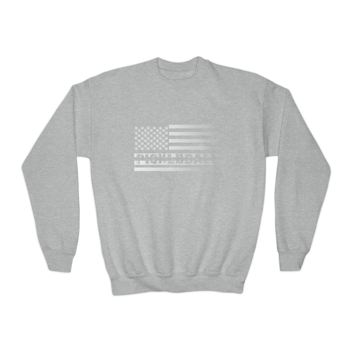 Pickleball Flag Transparent (Faded) Youth Crewneck Sweatshirt - Great Pickleball Stuff