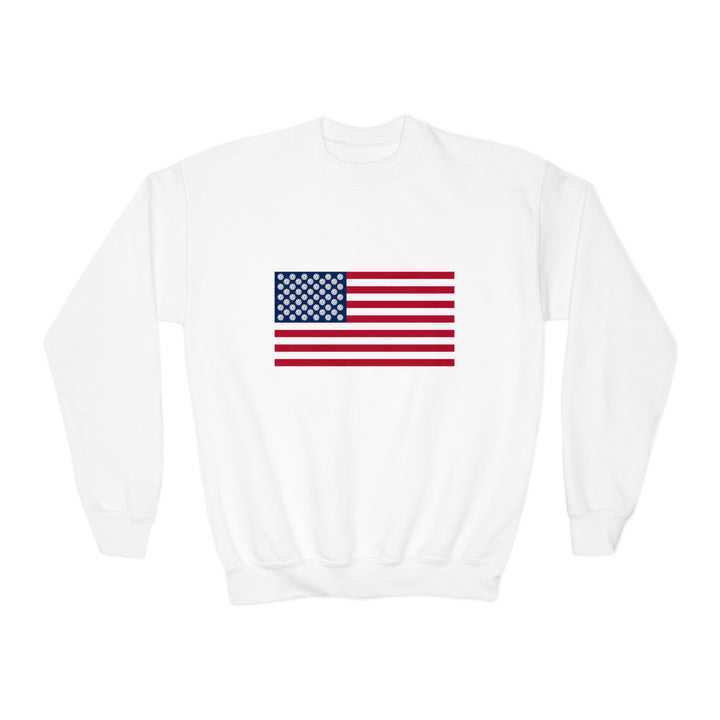 Pickleball Stars Flag Youth Crewneck Sweatshirt - Great Pickleball Stuff