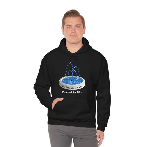 The Pickleball Fountain-Blue Unisex Hoodie - Great Pickleball Stuff