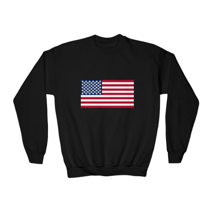 Pickleball Stars Flag Youth Crewneck Sweatshirt - Great Pickleball Stuff