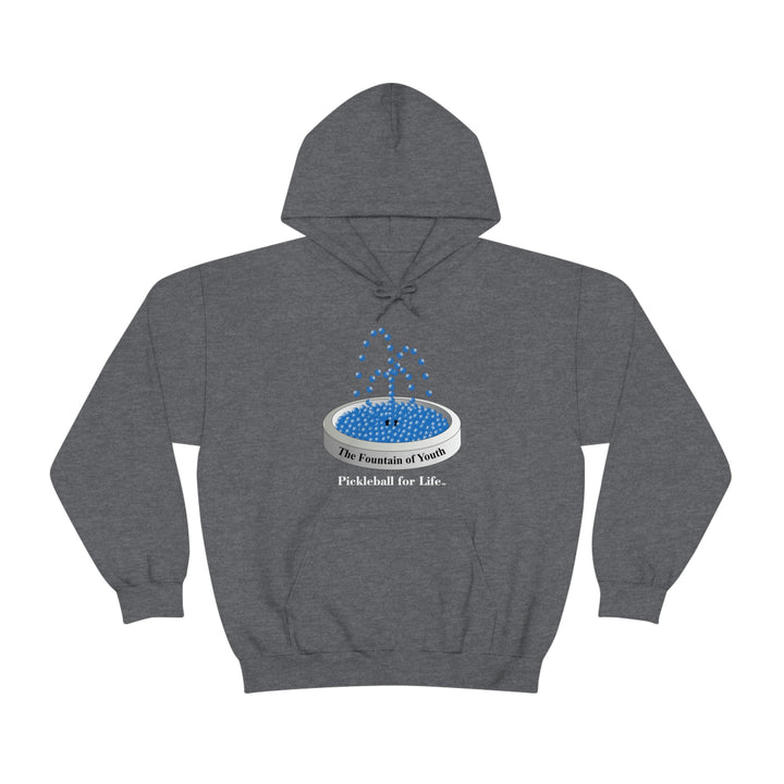 The Pickleball Fountain-Blue Unisex Hoodie - Great Pickleball Stuff