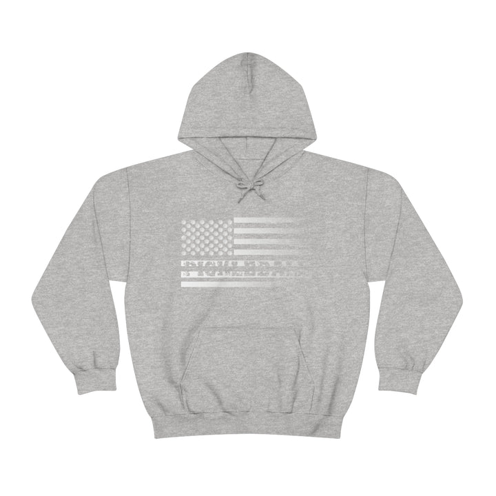 Pickleball Flag Transparent (Faded) Unisex Hoodie - Great Pickleball Stuff