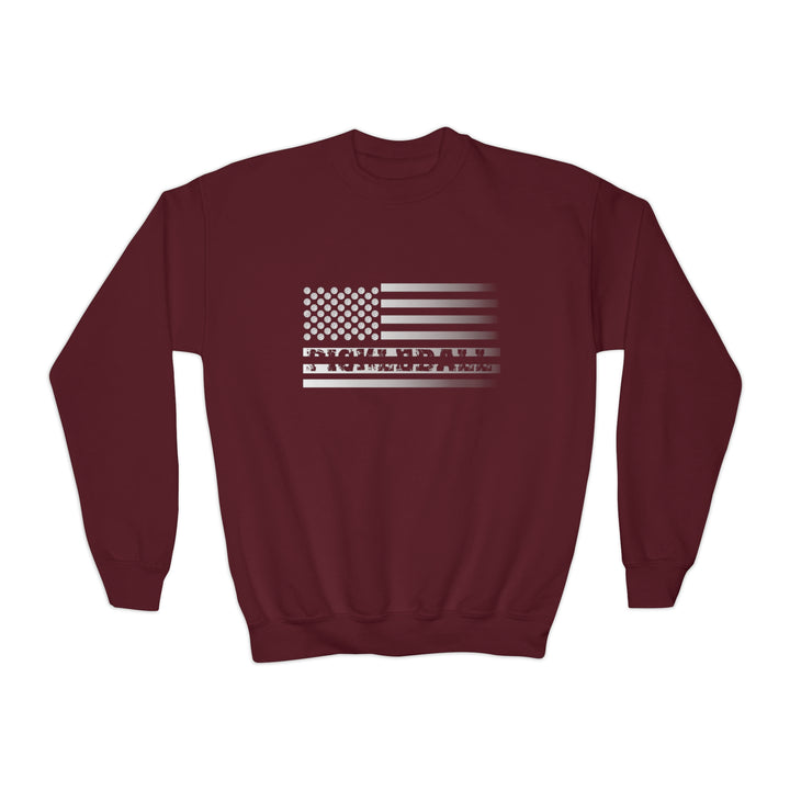 Pickleball Flag Transparent (Faded) Youth Crewneck Sweatshirt - Great Pickleball Stuff