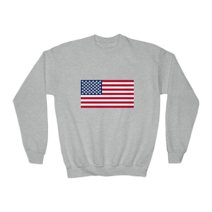 Pickleball Stars Flag Youth Crewneck Sweatshirt - Great Pickleball Stuff