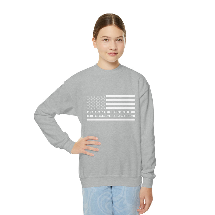 Pickleball Flag Transparent Youth Crewneck Sweatshirt - Great Pickleball Stuff